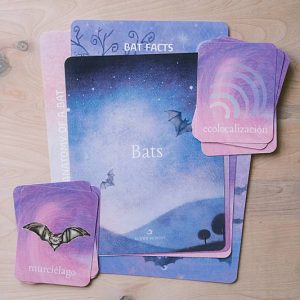 The cover page and bilingual vocabulary cards from Acorn School's Bats Curriculum.