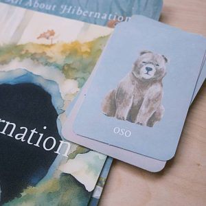 The bilingual vocabulary cards from Acorn School's Hibernation Curriculum.