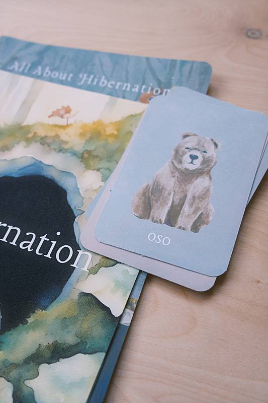 The bilingual vocabulary cards from Acorn School's Hibernation Curriculum.