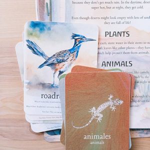 Animal cards, bilingual vocabulary cards, and an educational page from Acorn School's Desert Ecosystem Curriculum.