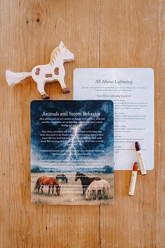 Cards with an image of a storm on them and a toy horse laying on a table