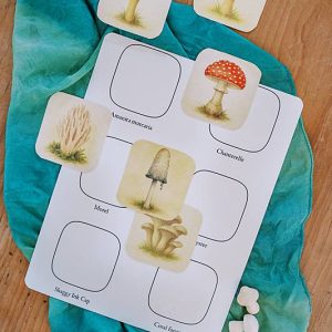 Cards on a silk with a sheet of paper